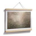 Poster Mystiek regenwoud in de mist - Ms Tiff