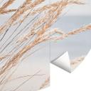 Fototapet - Rundt Klitgræs - vliesetapet/selvklæbende non-woven tapet