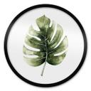 Plakat Kvilis - Monstera Leaf