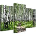3 stykke lærredstryk, Birch Forest Nature