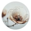 Billede af tørret blomst beige natur poesi - Treechild - rund – print på aluminium (Alu-Dibond)