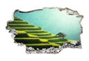 3D Wallsticker risterrasser