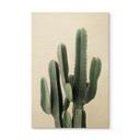 Cuadro de madera planta de cactus - Sisi & Seb