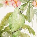 Papel pintado Animales en la jungla tropical - UN Designs
