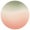 Tapet cirkel Vandmelon - vliesetapet/selvklæbende non-woven tapet