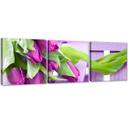 3 stykke lærredsprint, lyserøde tulipaner blomster