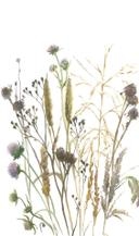 Fototapet blomster, blade blomster natur mat i hvid, beige 2,70 x 1,59m
