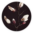 Vægcirkel Treechild - Magnolia Blossoms – print på aluminium (Alu-Dibond)