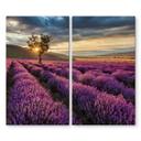 Dækplade til komfur Lavendelblomst i Provence