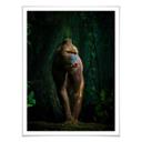 Poster Yunta - Dans la jungle