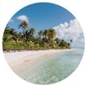 Vinilo decorativo Playa de palmeras en los Mares del Sur - Colombo - Redondo