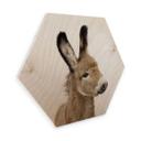 Hexagon Hout Sisi & Seb - Baby Ezel
