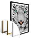 Plakat - Sumatratiger