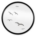 Póster Gaviotas en el cielo - Redondo