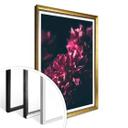 Póster Sueño Flor Rosa 01