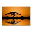 Glasschilderij Afrika