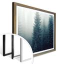Póster Niebla en el bosque