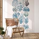 Filigrane alger og skaller | Botanisk illustration Fototapet - casa cartissi