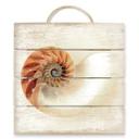 Cuadro de madera Nautilus - 40x41,5 cm