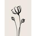 Fotomural Line Art Poppy - Cats & Dotz