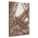 Cuadro lienzo Phoenix palm