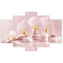 5 stykke lærredsprint Pink Flower Orchid