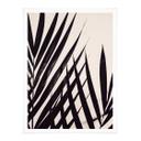 Póster 1X Estudio - Hoja de palmera negra