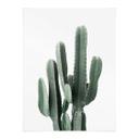 Póster planta de cactus - Sisi & Seb