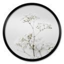 Plakat Annie - Wild Grass