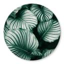 Tableau sur verre rond Urban Jungle - Calathea Orbifolia