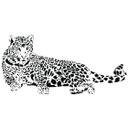 Liggende leopard