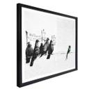 Plakat Banksy - Protesting Birds
