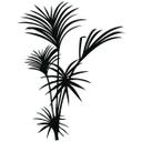 Indendørs Palme