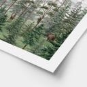 Plakat skovens dyr i den grønne alpine skov | naturmotiv til børneværelset - Kikki Belle