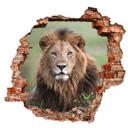 3D Wallsticker van Duijn - I løvens øjne