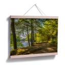 Póster Camino forestal junto al río