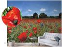 Fototapet med blomstereng og blå himmel Rød, Grøn, Blomstret 2,70 x 1,59 m
