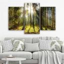 3 stykke lærredsprint, Forest Rays Tree Nature