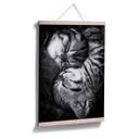 Poster - Jancova - Sweet Kitten