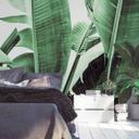 Nature PalmFronds2 tapet i grøn-hvid - non-woven tapet Designwalls 2 - 2,55 x 3,5 m