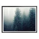 Póster Niebla en el bosque