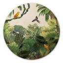 Cuadro de madera Kikki Belle - Pájaros tropicales - Redondo