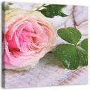 Canvasbillede, Rosenblomster i naturen