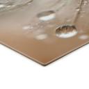 Stænkplade Mælkebøtte i morgendug - Treechild
