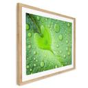 Póster - Corazón de gotas de agua sobre una hoja verde