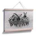 Poster - Trubitsyn - Zèbres dans la savane