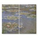Dækplade til komfur Monet - Åkander 1905