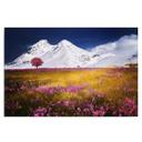 Canvasbillede, Alpine bjerge