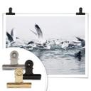 Póster gaviotas
