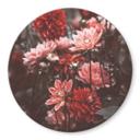 Tableau sur verre Annie - Fleurs d'été - Rond